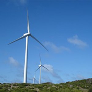 How to Achieve Excellence in Environmental Management During Wind Farm Construction