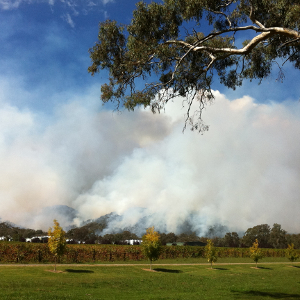 Bushfire Management Reports for Residential Subdivisions
