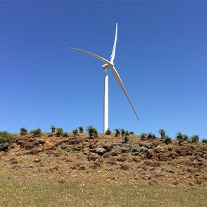 Badgingarra Wind Farm Officially Opens