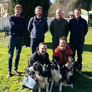 Bat and Avifauna Monitoring for Mt Mercer Wind Farm