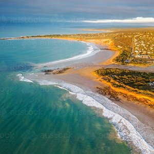 New Endangered Ecological Community Listing for Victoria