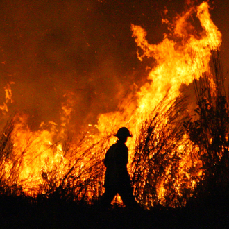 Managing Bushfire Risk and Biodiversity Conservation in Land-use Planning