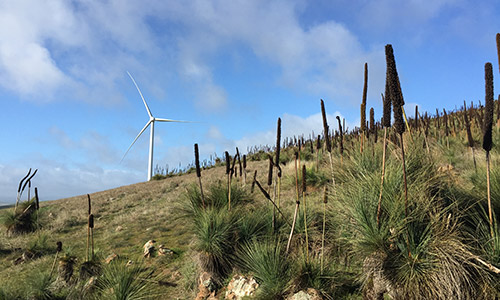 Badgingarra Wind Farm