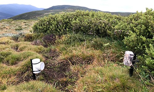 Fox and Cat Monitoring and Control for Parks Victoria